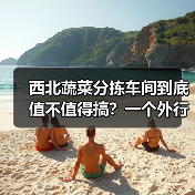 西北蔬菜分拣车间到底值不值得搞？一个外行人的翻车实录（图2）