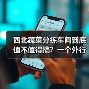 西北蔬菜分拣车间到底值不值得搞？一个外行人的翻车实录（图3）