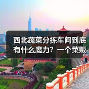 西北蔬菜分拣车间到底有什么魔力？一个菜贩子的自白（图4）