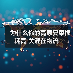 为什么你的高原夏菜损耗高 关键在物流（图2）