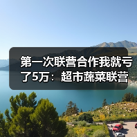 第一次联营合作我就亏了5万：超市蔬菜联营合作方案避坑指南（图1）