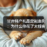 甘肃特产礼品定制案例:为什么你花了大钱客户却记不住?(图2) 甘肃特产礼品定制案例:为什么你花了大钱客户却记不住?(图2)
