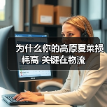 为什么你的高原夏菜损耗高 关键在物流（图4）