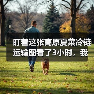 盯着这张高原夏菜冷链运输图看了3小时，我发现了5个惊人真相（图2）