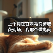 上个月在甘肃马铃薯收获现场,我那个做电商的朋友差点亏了8万块(图2) 上个月在甘肃马铃薯收获现场,我那个做电商的朋友差点亏了8万块(图2)