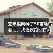 去年跟风种了50亩马铃薯后,我连夜跑回甘肃收获现场…(图3) 去年跟风种了50亩马铃薯后,我连夜跑回甘肃收获现场…(图3)