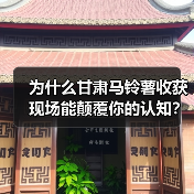 为什么甘肃马铃薯收获现场能颠覆你的认知？