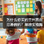 为什么你买的兰州百合总是假的？基地实拍揭秘