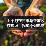 上个月在甘肃马铃薯收获现场,我那个做电商的朋友差点亏了8万块(图3) 上个月在甘肃马铃薯收获现场,我那个做电商的朋友差点亏了8万块(图3)