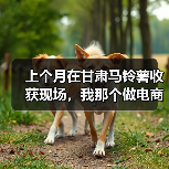 上个月在甘肃马铃薯收获现场,我那个做电商的朋友差点亏了8万块(图4) 上个月在甘肃马铃薯收获现场,我那个做电商的朋友差点亏了8万块(图4)