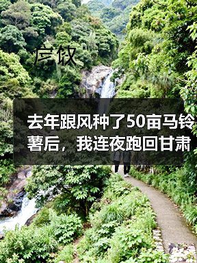 去年跟风种了50亩马铃薯后,我连夜跑回甘肃收获现场…(图4) 去年跟风种了50亩马铃薯后,我连夜跑回甘肃收获现场…(图4)