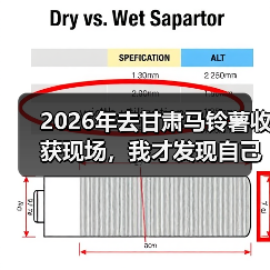 2026年去甘肃马铃薯收获现场,我才发现自己犯了3个低级错误(图2) 2026年去甘肃马铃薯收获现场,我才发现自己犯了3个低级错误(图2)