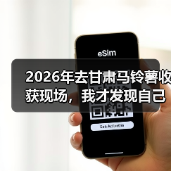 2026年去甘肃马铃薯收获现场,我才发现自己犯了3个低级错误(图3) 2026年去甘肃马铃薯收获现场,我才发现自己犯了3个低级错误(图3)