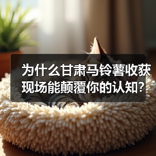 为什么甘肃马铃薯收获现场能颠覆你的认知?(图4) 为什么甘肃马铃薯收获现场能颠覆你的认知?(图4)