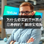为什么你买的兰州百合总是假的?基地实拍揭秘(图2) 为什么你买的兰州百合总是假的?基地实拍揭秘(图2)