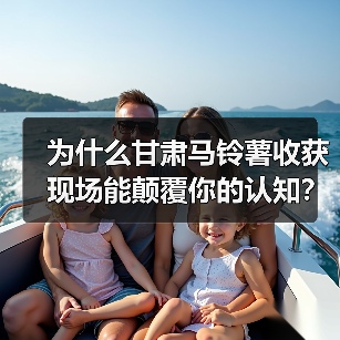 为什么甘肃马铃薯收获现场能颠覆你的认知?(图2) 为什么甘肃马铃薯收获现场能颠覆你的认知?(图2)
