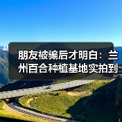 朋友被骗后才明白：兰州百合种植基地实拍到底有多重要？