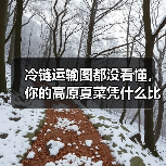 冷链运输图都没看懂,你的高原夏菜凭什么比别人贵30%?(图2) 冷链运输图都没看懂,你的高原夏菜凭什么比别人贵30%?(图2)