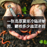 一张高原夏菜冷链运输图,藏着多少蔬菜老板的血泪史?(图3) 一张高原夏菜冷链运输图,藏着多少蔬菜老板的血泪史?(图3)