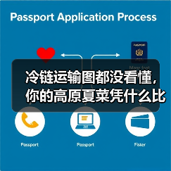 冷链运输图都没看懂,你的高原夏菜凭什么比别人贵30%?(图3) 冷链运输图都没看懂,你的高原夏菜凭什么比别人贵30%?(图3)