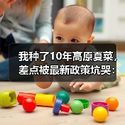 我种了10年高原夏菜,差点被最新政策坑哭:2026年避坑指南(图4) 我种了10年高原夏菜,差点被最新政策坑哭:2026年避坑指南(图4)