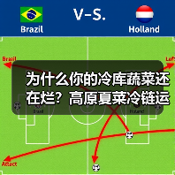 为什么你的冷库蔬菜还在烂?高原夏菜冷链运输图的秘密(图3) 为什么你的冷库蔬菜还在烂?高原夏菜冷链运输图的秘密(图3)