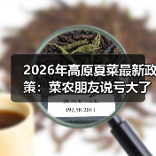 2026年高原夏菜最新政策:菜农朋友说亏大了,其实暗藏机会(图4) 2026年高原夏菜最新政策:菜农朋友说亏大了,其实暗藏机会(图4)