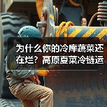 为什么你的冷库蔬菜还在烂？高原夏菜冷链运输图的秘密