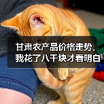甘肃农产品价格走势,我花了八千块才看明白(图4) 甘肃农产品价格走势,我花了八千块才看明白(图4)