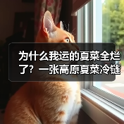 为什么我运的夏菜全烂了?一张高原夏菜冷链运输图救了我(图2) 为什么我运的夏菜全烂了?一张高原夏菜冷链运输图救了我(图2)