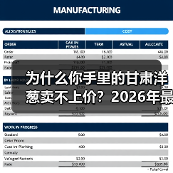 为什么你手里的甘肃洋葱卖不上价？2026年最新行情与生存指南（图4）