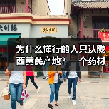 为什么懂行的人只认陇西黄芪产地？一个药材商的血泪教训（图4）