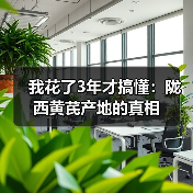 我花了3年才搞懂:陇西黄芪产地的真相(图3) 我花了3年才搞懂:陇西黄芪产地的真相(图3)
