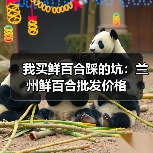 我买鲜百合踩的坑:兰州鲜百合批发价格(图3) 我买鲜百合踩的坑:兰州鲜百合批发价格(图3)