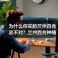 为什么你买的兰州百合总不对？兰州百合种植基地实拍告诉你真相