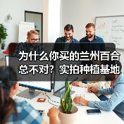 为什么你买的兰州百合总不对?实拍种植基地后我找到了答案(图3) 为什么你买的兰州百合总不对?实拍种植基地后我找到了答案(图3)