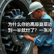 为什么你的高原夏菜运到一半就烂了?一张冷链运输图说透(图4) 为什么你的高原夏菜运到一半就烂了?一张冷链运输图说透(图4)