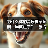 为什么你的高原夏菜运到一半就烂了?一张冷链运输图说透(图3) 为什么你的高原夏菜运到一半就烂了?一张冷链运输图说透(图3)