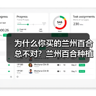 为什么你买的兰州百合总不对?兰州百合种植基地实拍告诉你真相(图3) 为什么你买的兰州百合总不对?兰州百合种植基地实拍告诉你真相(图3)