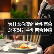为什么你买的兰州百合总不对?兰州百合种植基地实拍告诉你真相(图4) 为什么你买的兰州百合总不对?兰州百合种植基地实拍告诉你真相(图4)