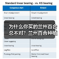 为什么你买的兰州百合总不对?兰州百合种植基地实拍告诉你真相(图2) 为什么你买的兰州百合总不对?兰州百合种植基地实拍告诉你真相(图2)