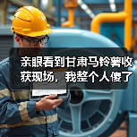 亲眼看到甘肃马铃薯收获现场，我整个人傻了（图3）