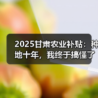 2025甘肃农业补贴：种地十年，我终于搞懂了这些门道