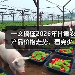 一文搞懂2026年甘肃农产品价格走势,看完少踩几个坑(图2) 一文搞懂2026年甘肃农产品价格走势,看完少踩几个坑(图2)