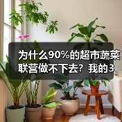 为什么90%的超市蔬菜联营做不下去?我的3个教训和1个落地案(图3) 为什么90%的超市蔬菜联营做不下去?我的3个教训和1个落地案(图3)