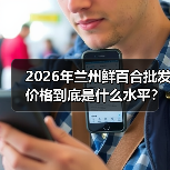 2026年兰州鲜百合批发价格到底是什么水平?一个从业者的实话(图3) 2026年兰州鲜百合批发价格到底是什么水平?一个从业者的实话(图3)