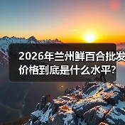 2026年兰州鲜百合批发价格到底是什么水平?一个从业者的实话(图1) 2026年兰州鲜百合批发价格到底是什么水平?一个从业者的实话(图1)