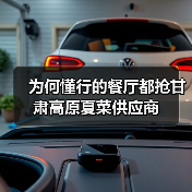 为何懂行的餐厅都抢甘肃高原夏菜供应商（图4）