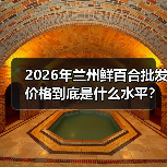 2026年兰州鲜百合批发价格到底是什么水平?一个从业者的实话(图4) 2026年兰州鲜百合批发价格到底是什么水平?一个从业者的实话(图4)