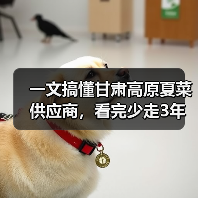 一文搞懂甘肃高原夏菜供应商,看完少走3年弯路(图2) 一文搞懂甘肃高原夏菜供应商,看完少走3年弯路(图2)